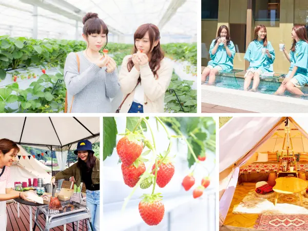 千葉県香取市の農園リゾート「THE FARM」3月の平日限定、学生応援割1泊2食付き宿泊プランのイメージ