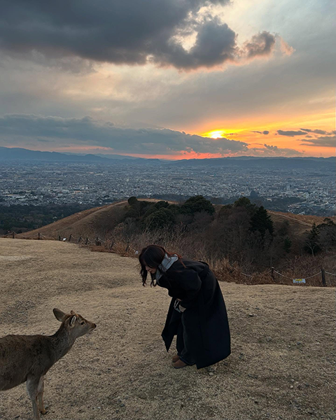 若草山では野生の鹿と一緒に写真を撮ることができる