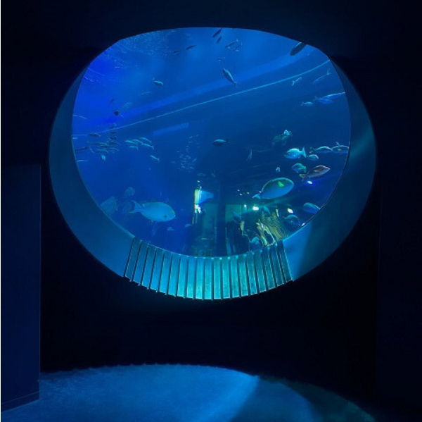 沖縄・豊見城市にある「DMMかりゆし水族館」の展示スペース『うちなー大水槽』の丸窓