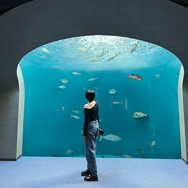 香川・宇多津町の「四国水族館」の「渦潮の景」